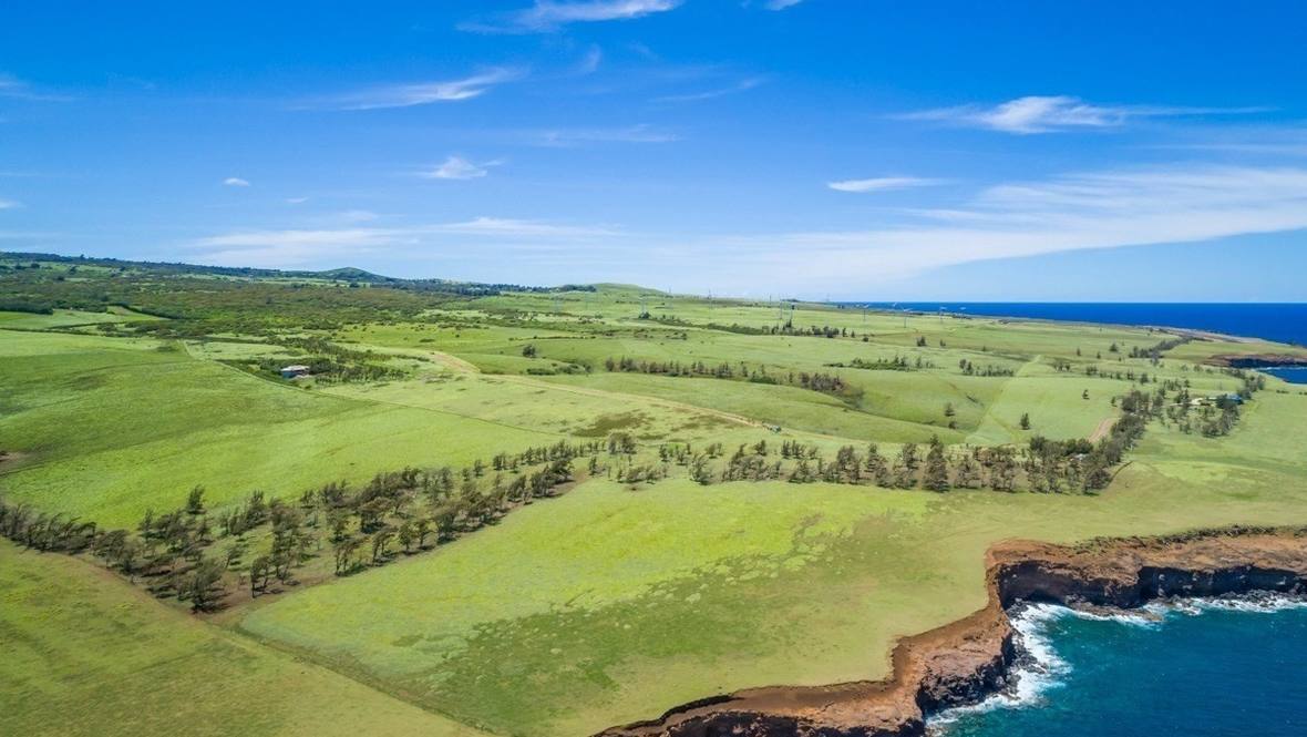 HOEA RD Land for Sale in Hawi 665273 Hawaii Life