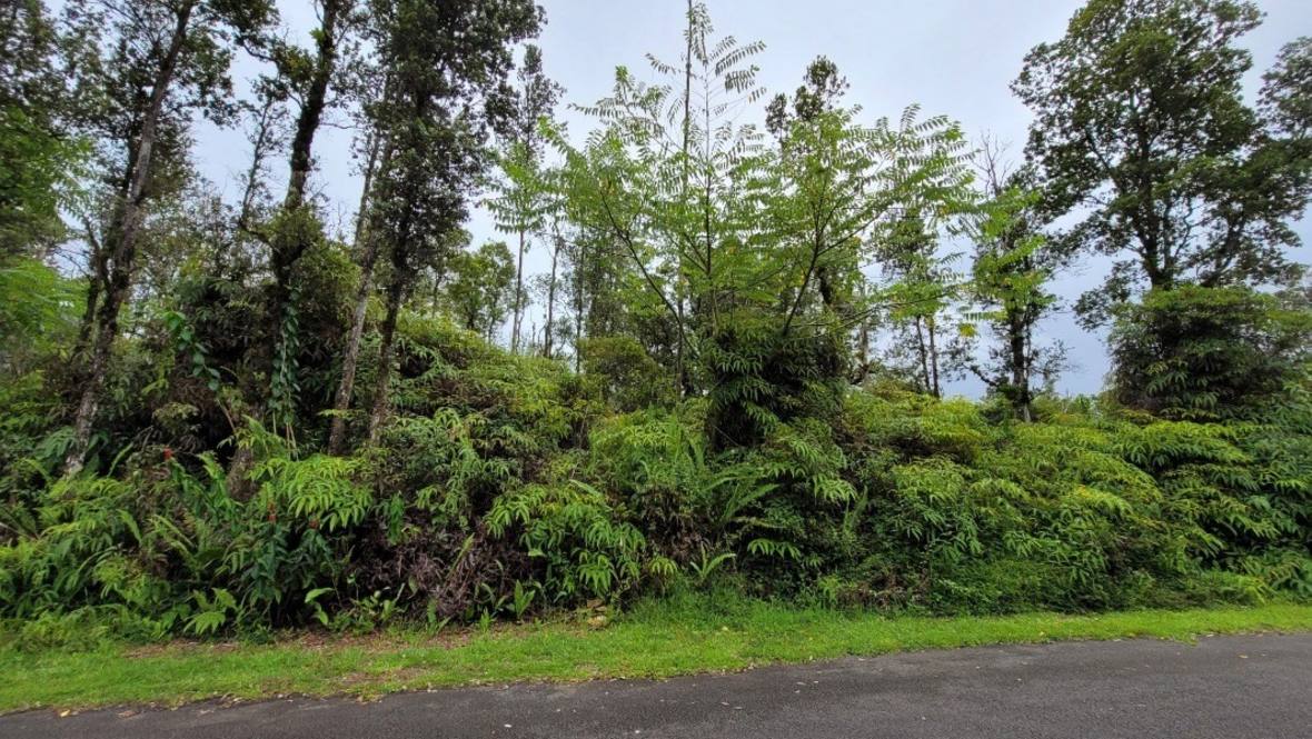 131269 KAHUKAI STREET Land for Sale in PAHOA 666200 Hawaii Life