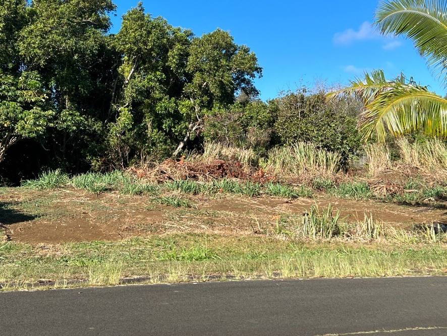 Land for Sale in HAWI 666216 Teri Takata Hawaii Life