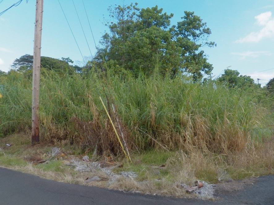 Iwaiwa Street Land for Sale in HILO 663631 Hawaii Life