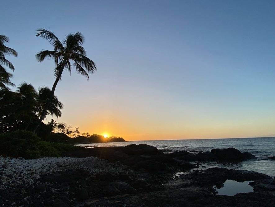 691728 PUAKO BEACH DR House for Sale in KAMUELA 666646 Jan Nores