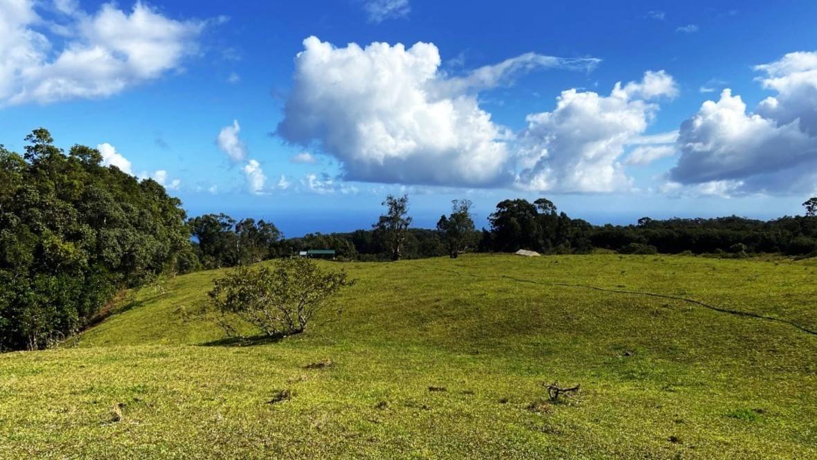 463663 PUAONO RD Land for Sale in Honokaa 666843 Dan Ishikawa