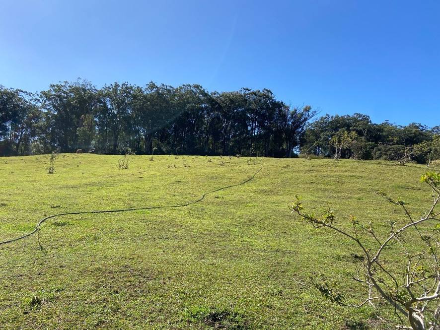 463663 PUAONO RD Land for Sale in Honokaa 666843 Dan Ishikawa