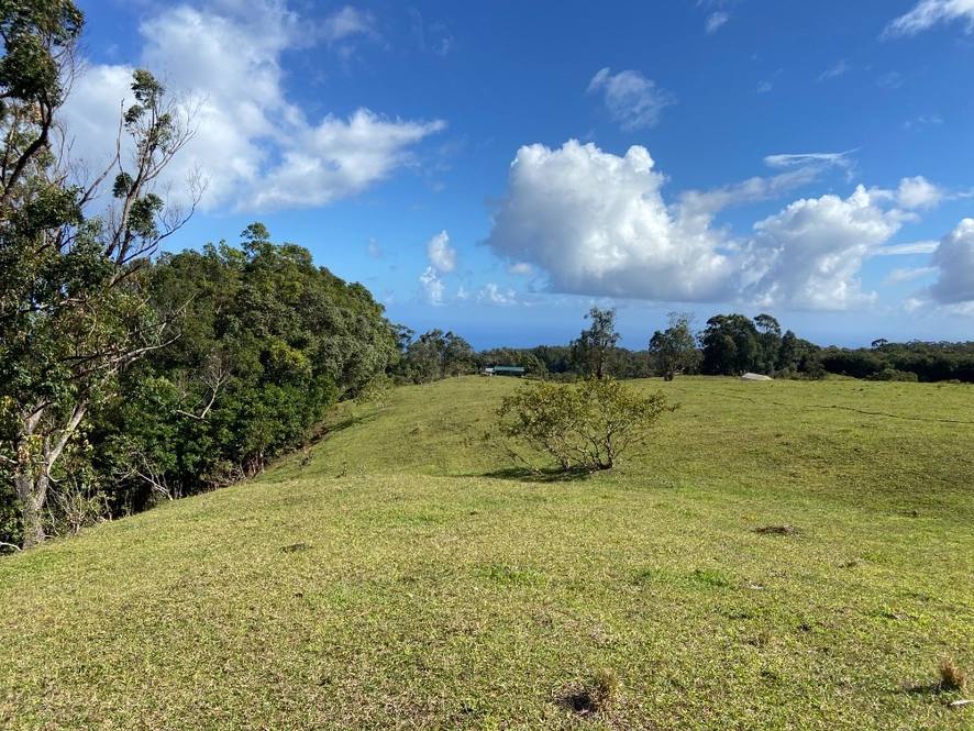 463663 PUAONO RD Land for Sale in Honokaa 666843 Dan Ishikawa