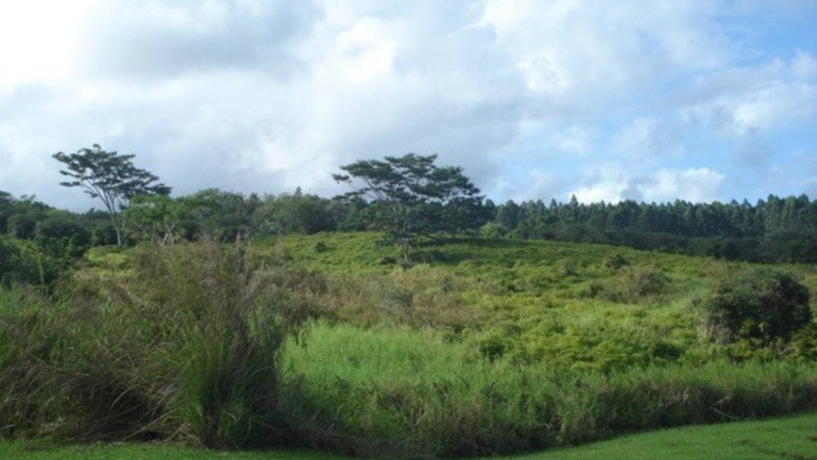 Land for Sale in HILO 667124 Hawaii Life