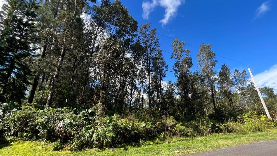 PIKAKE ST Land for Sale in MOUNTAIN VIEW 667313 Renee Hill