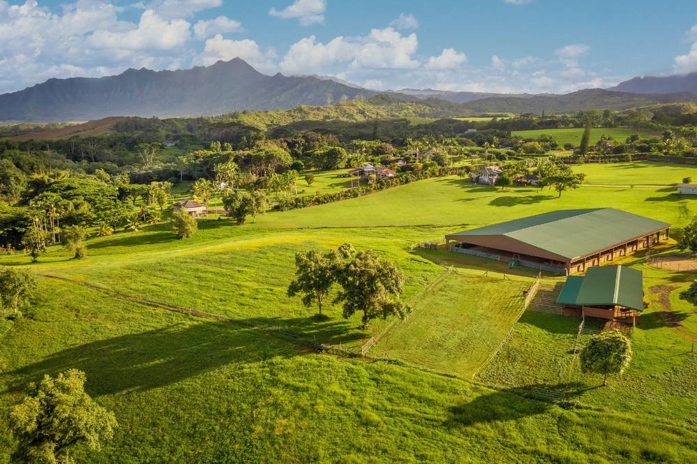 3836 AHONUI PL Land for Sale in PRINCEVILLE 666833 Ben Welborn