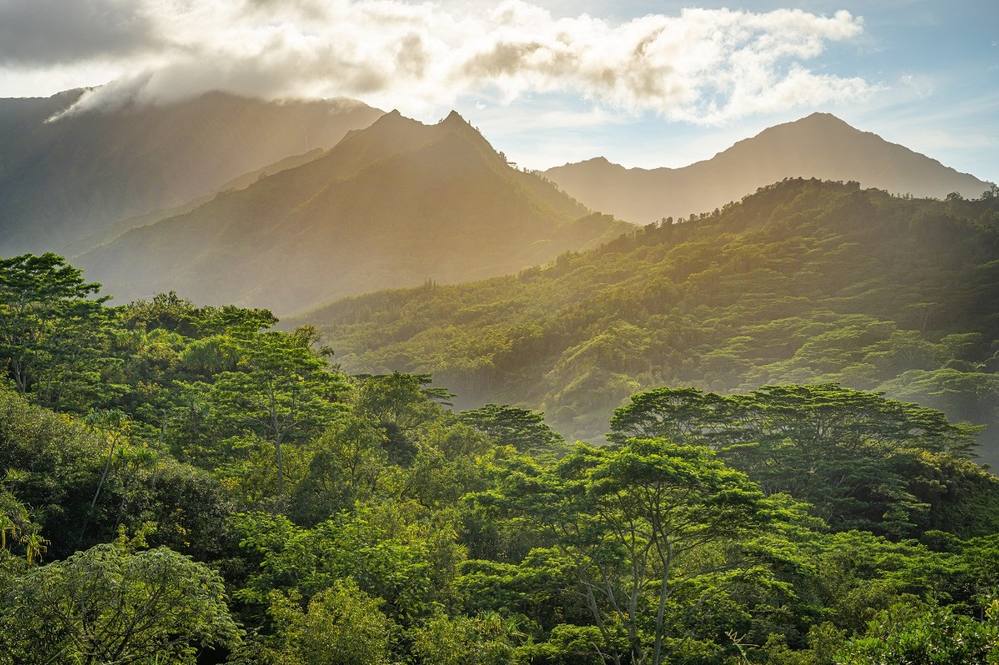 3836 AHONUI PL Land for Sale in PRINCEVILLE 666833 Ben Welborn