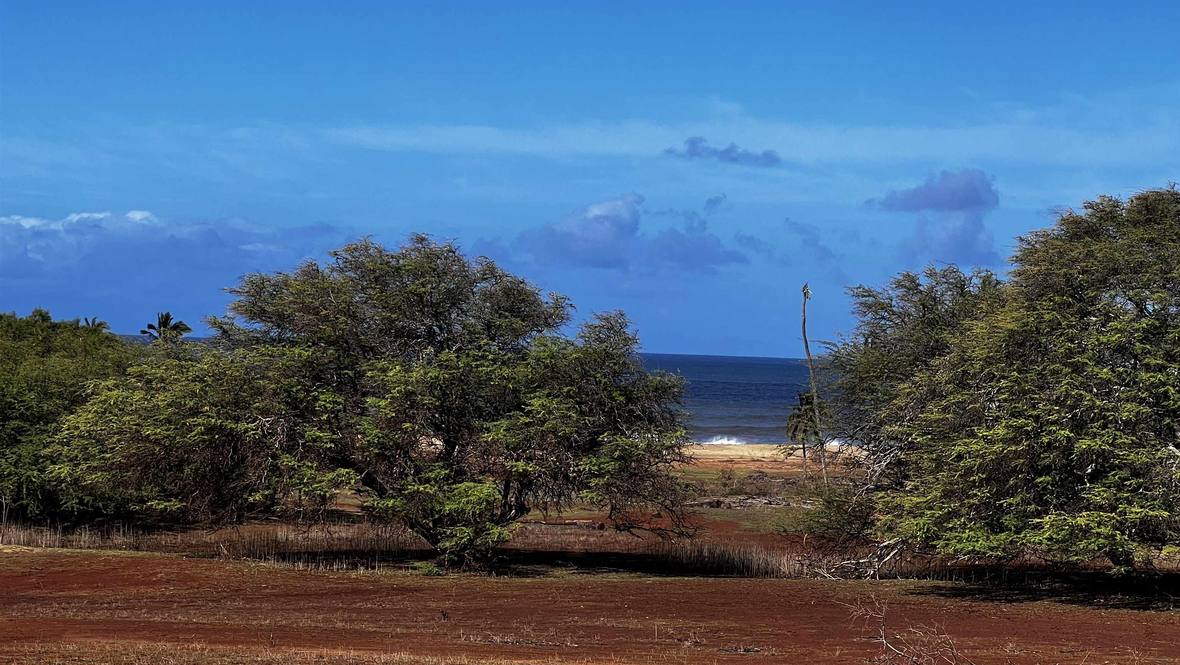 0 Kaiaka Rd 007 Land for Sale in Maunaloa 397702 Hawaii Life