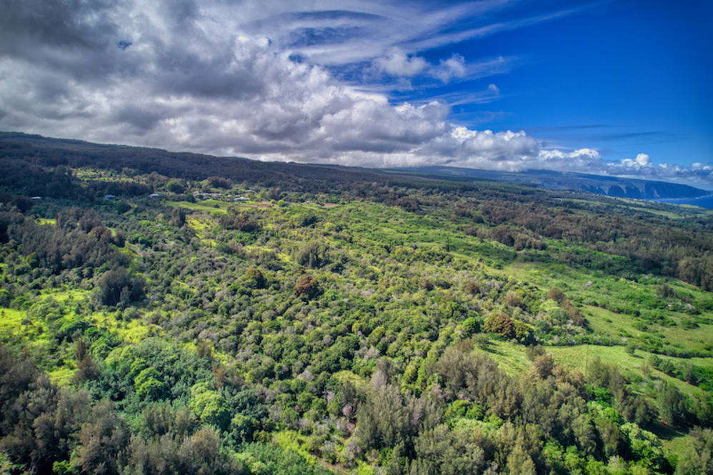 474536 HONOKAA WAIPIO RD Land for Sale in HONOKAA 701251 Noelani