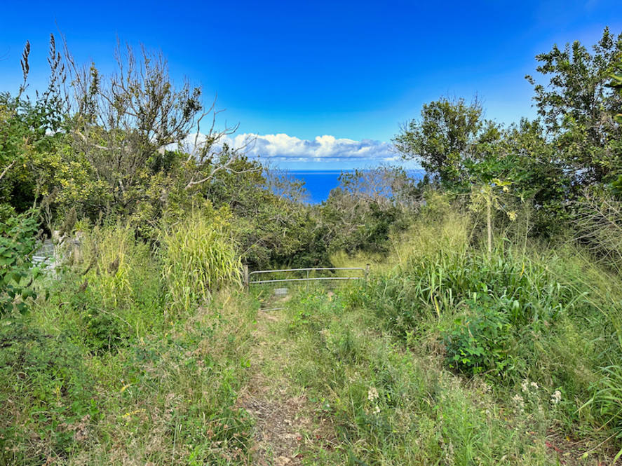 474536 HONOKAA WAIPIO RD Land for Sale in HONOKAA 701251 Noelani
