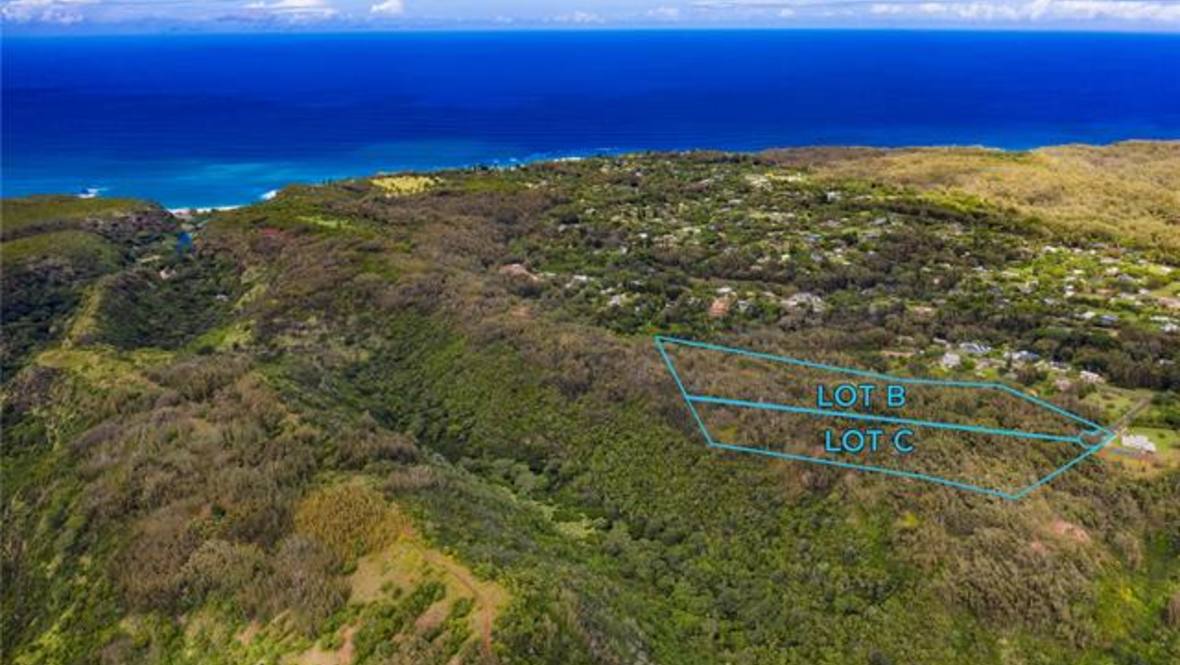59 Maulukua Road B/C/D Land for Sale in Haleiwa 202301981 Kyle