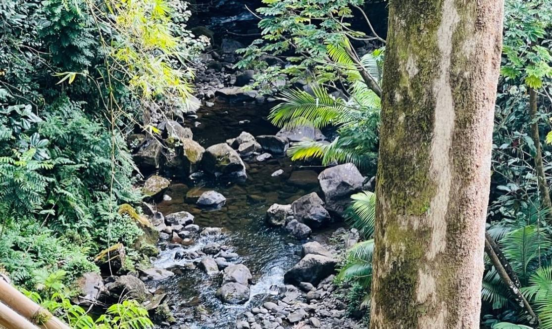 27544 ALAKAHI PL Land for Sale in PAPAIKOU 667947 Hawaii Life