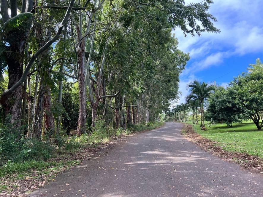 27544 ALAKAHI PL Land for Sale in PAPAIKOU 667947 Hawaii Life