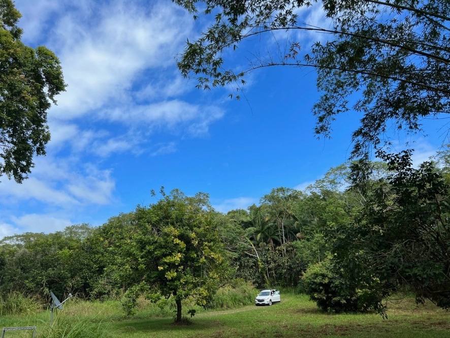 27544 ALAKAHI PL Land for Sale in PAPAIKOU 667947 Hawaii Life