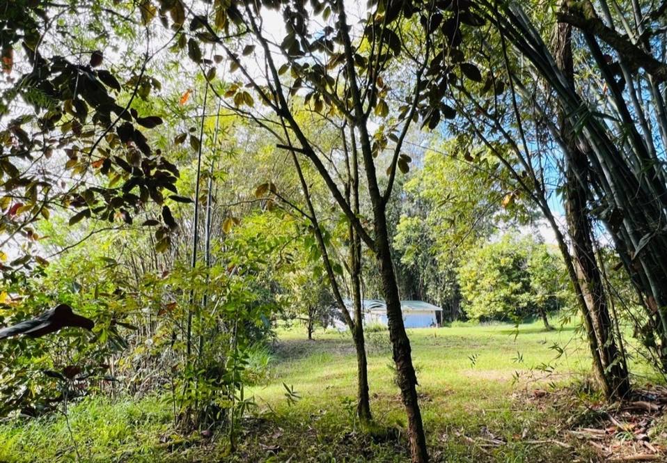 27544 ALAKAHI PL Land for Sale in PAPAIKOU 667947 Hawaii Life