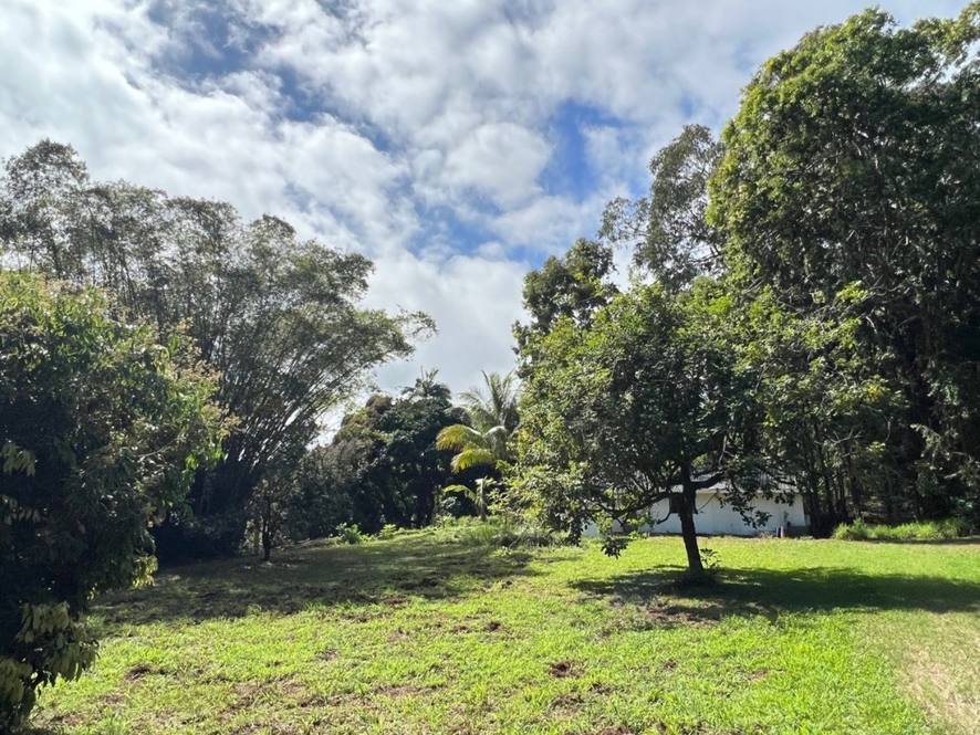 27544 ALAKAHI PL Land for Sale in PAPAIKOU 667947 Hawaii Life