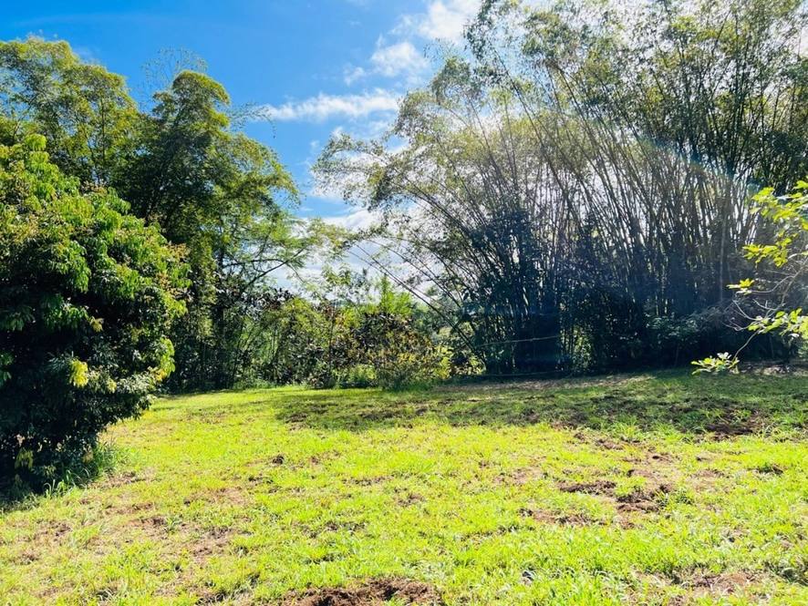 27544 ALAKAHI PL Land for Sale in PAPAIKOU 667947 Hawaii Life