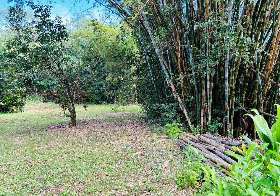27544 ALAKAHI PL Land for Sale in PAPAIKOU 667947 Hawaii Life