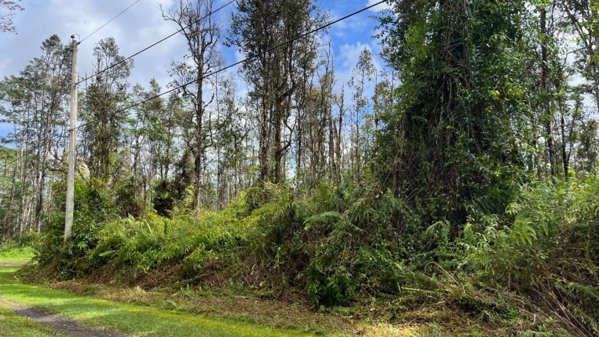 PUNA RD Land for Sale in PAHOA 668459 Jeanna Rimmer Hawaii Life