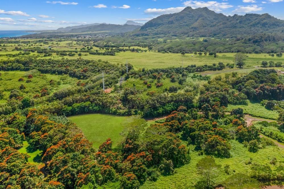 IANA PL 19B Land for Sale in KAPAA 665554 Hawaii Life