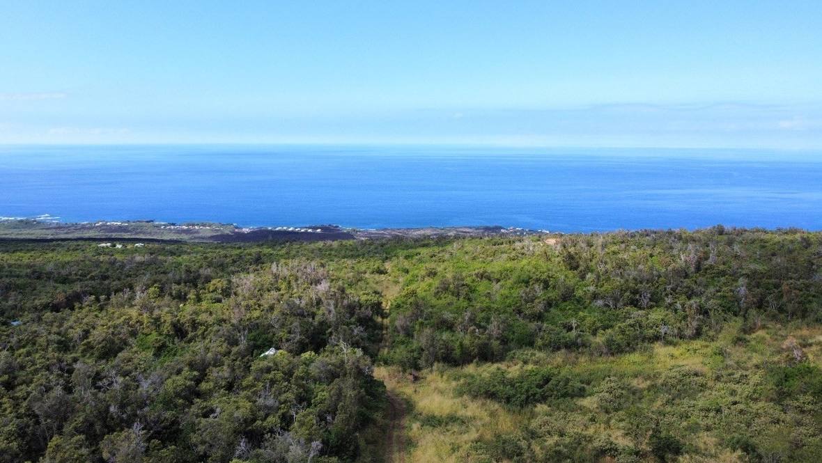 Land for Sale in CAPTAIN COOK 668802 Tanya Sunshine Hawaii Life