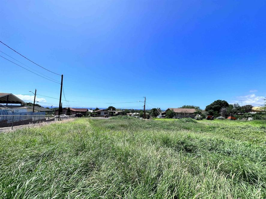 239 Wiliwili Pl Land for Sale in Kaunakakai 398443 Hawaii Life