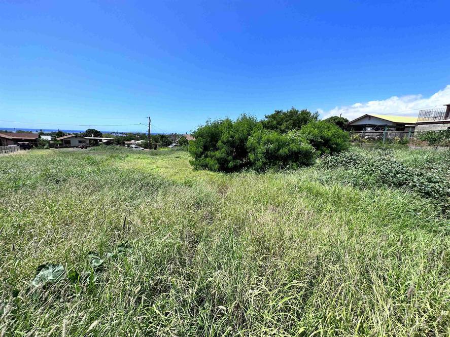 239 Wiliwili Pl Land for Sale in Kaunakakai 398443 Hawaii Life