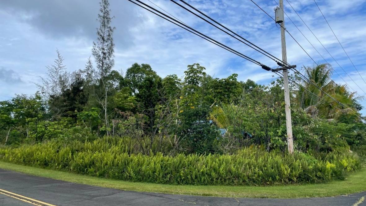 Land for Sale in PAHOA 668619 Hawaii Life