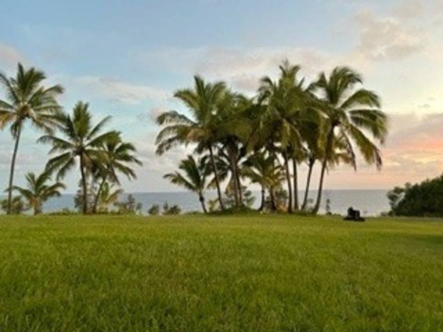 Land for Sale in PAHOA 668619 Hawaii Life