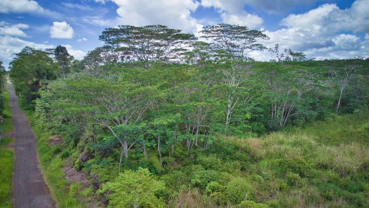 161388 36TH AVE Land for Sale in KURTISTOWN 669465 Ron Teichman