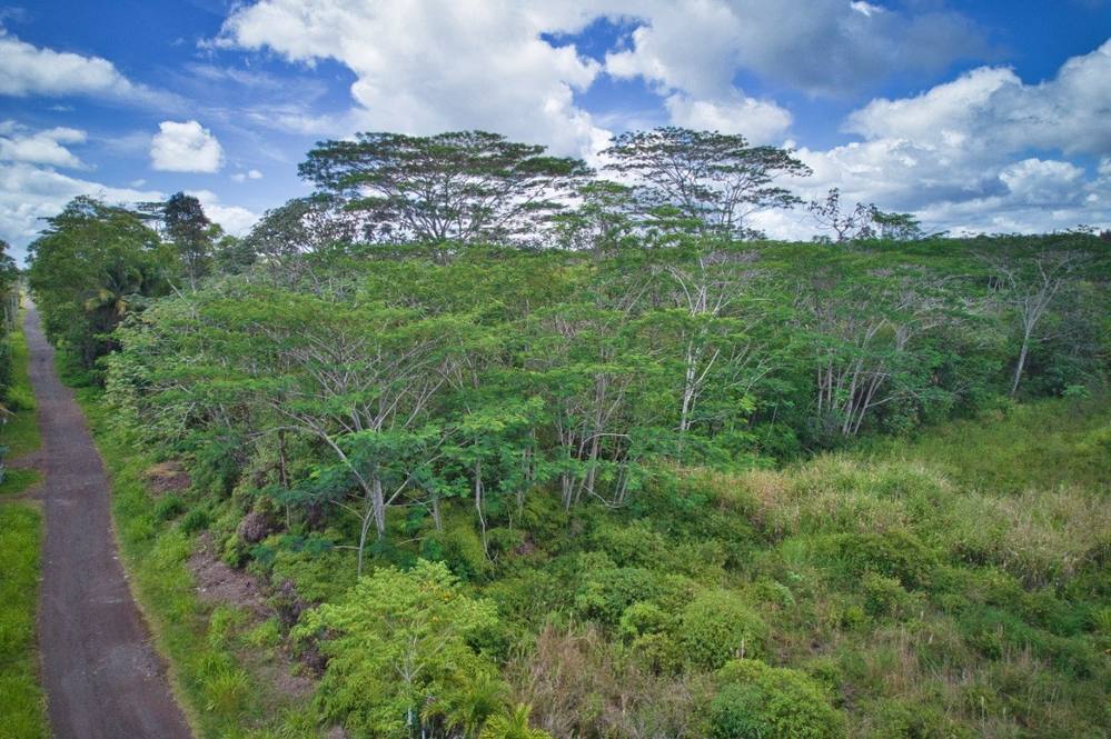 161388 36TH AVE Land for Sale in KURTISTOWN 669465 Ron Teichman