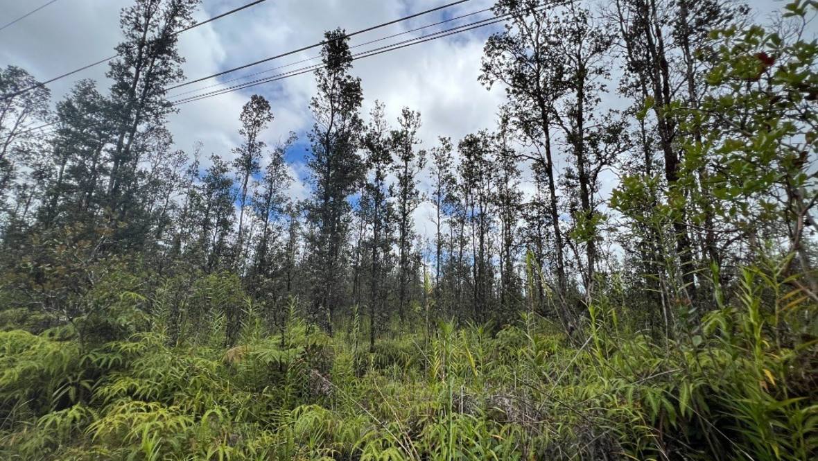 ROAD 6 (OOAA) Land for Sale in MOUNTAIN VIEW 669563 Jeanna Rimmer