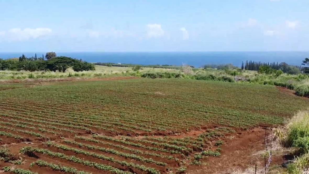 28561 OPUA RD Land for Sale in PEPEEKEO 702411 Hawaii Life