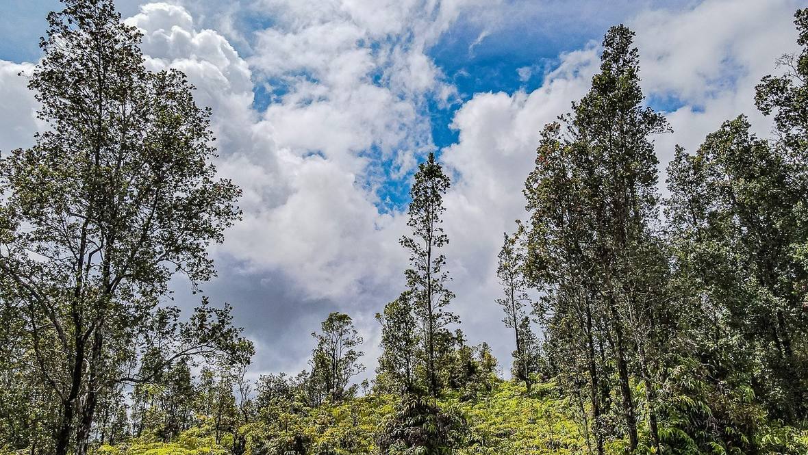 252999 KAUMANA DR Land for Sale in HILO 667690 Denise Nakanishi