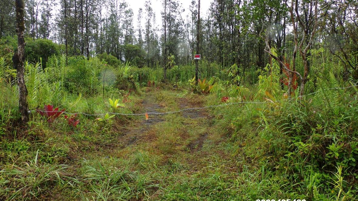 162090 ROAD 8 (MOHO) Land for Sale in KURTISTOWN 702571 Hawaii Life