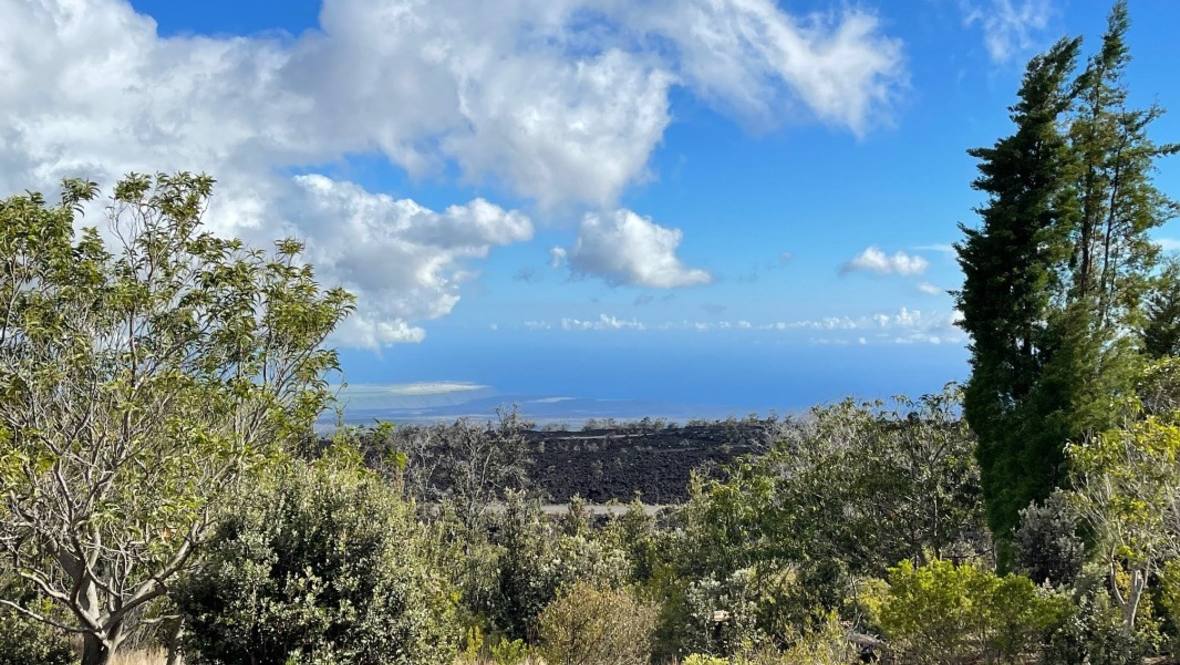 928411 KING KALAKAUA LN Land for Sale in OCEAN VIEW 669806