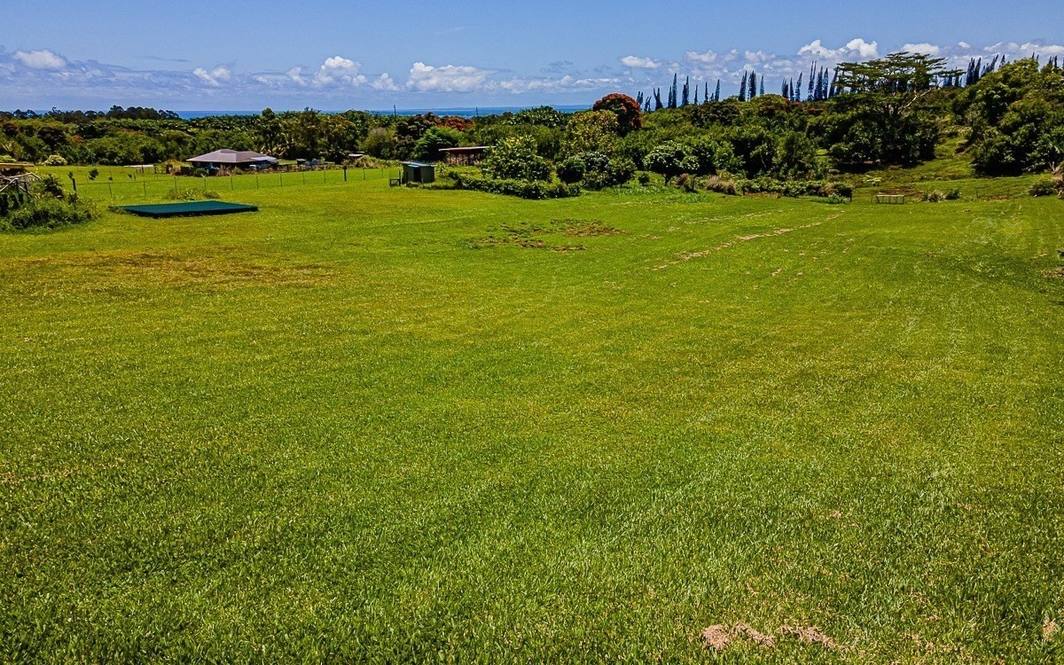 28519 KULAIMANO RD Land for Sale in Pepeekeo 669308 Denise Nakanishi Hawaii Life