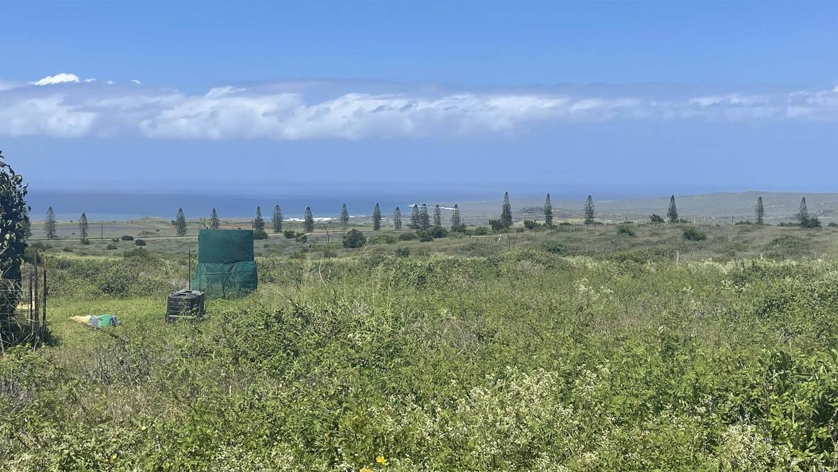 Kaana St Land for Sale in Maunaloa 398328 Rob Stephenson Hawaii