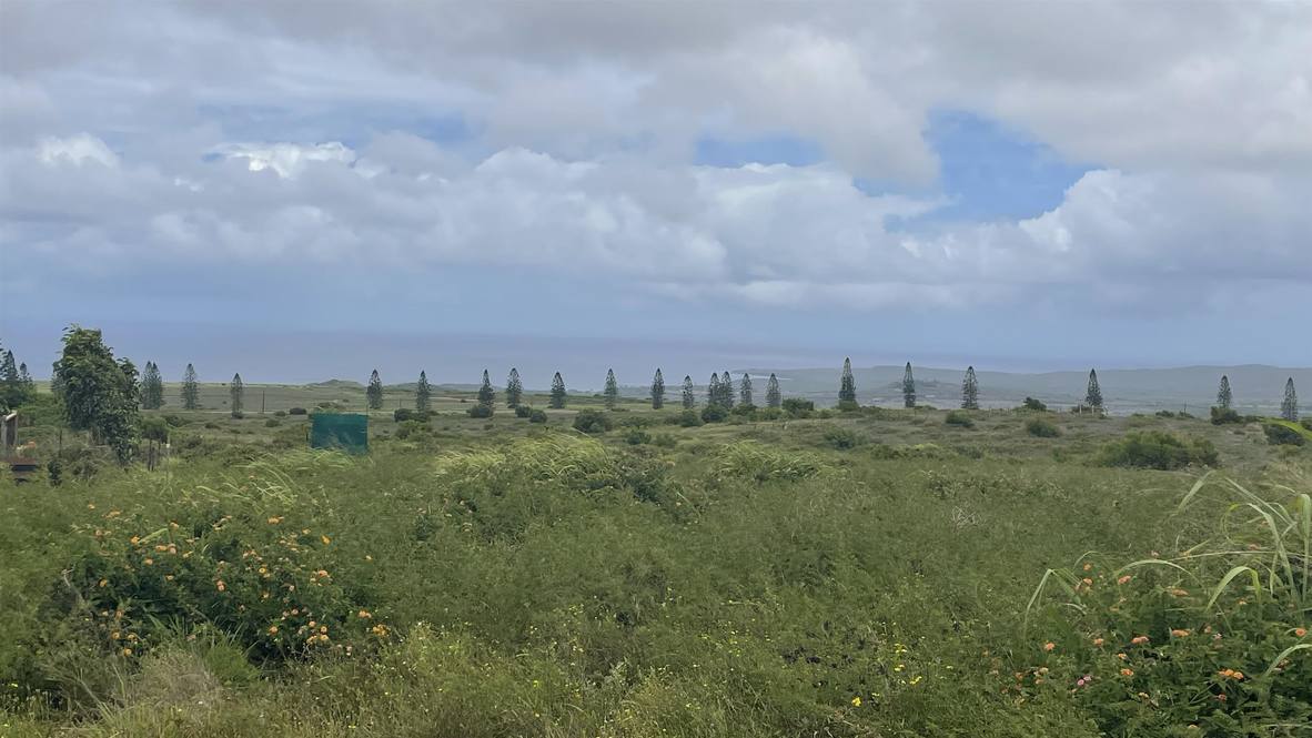 Kaana St Land for Sale in Maunaloa 398328 Rob Stephenson Hawaii