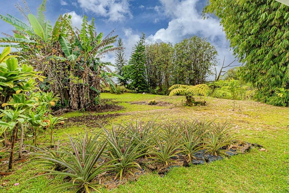 184025 N PECK RD House for Sale in Mountain View 669815 Denise