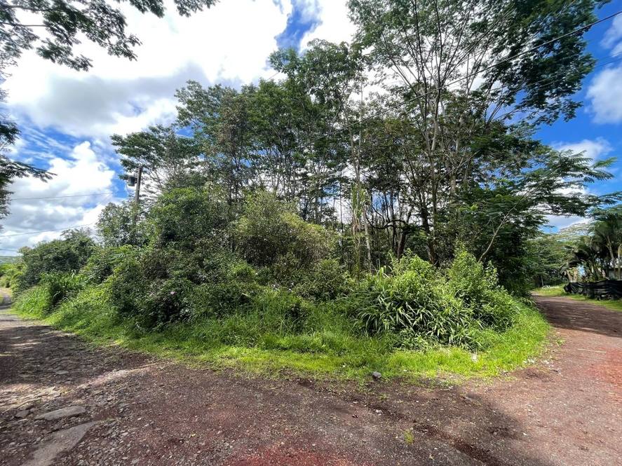 KING KAMEHAMEHA BLVD Land for Sale in KURTISTOWN 702637 Hawaii Life