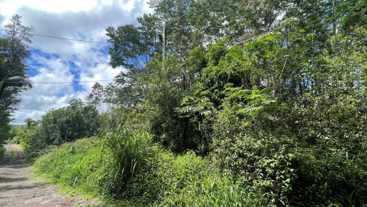 KING KAMEHAMEHA BLVD Land for Sale in KURTISTOWN 702638 Hawaii Life