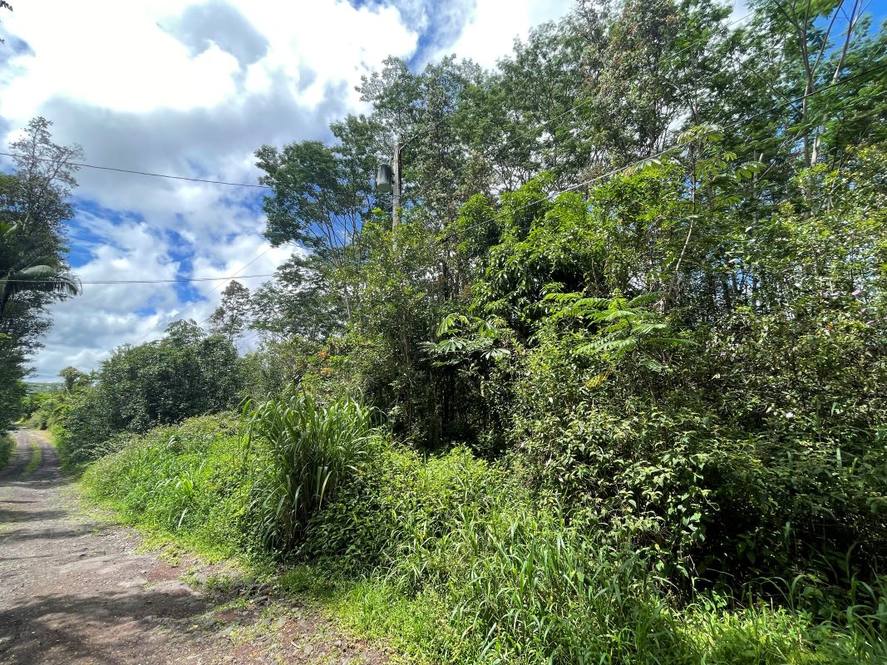 KING KAMEHAMEHA BLVD Land for Sale in KURTISTOWN 702638 Hawaii Life