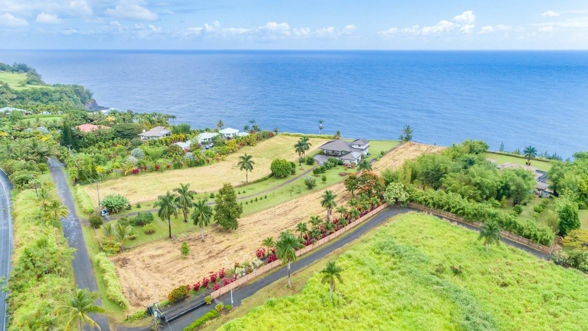 HAWAII BELT HIGHWAY Land for Sale in NINOLE 669831 Dan Ishikawa