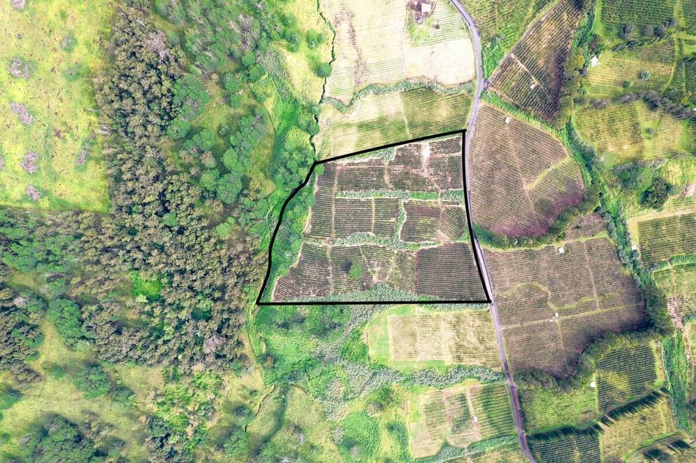 Lot 48 Moa'ula Land for Sale in Pahala 661013 Denise Nakanishi