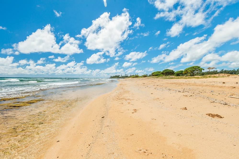 4331 KAUAI BEACH DR 1219 Condo for Sale in LIHUE 702906 Hawaii Life