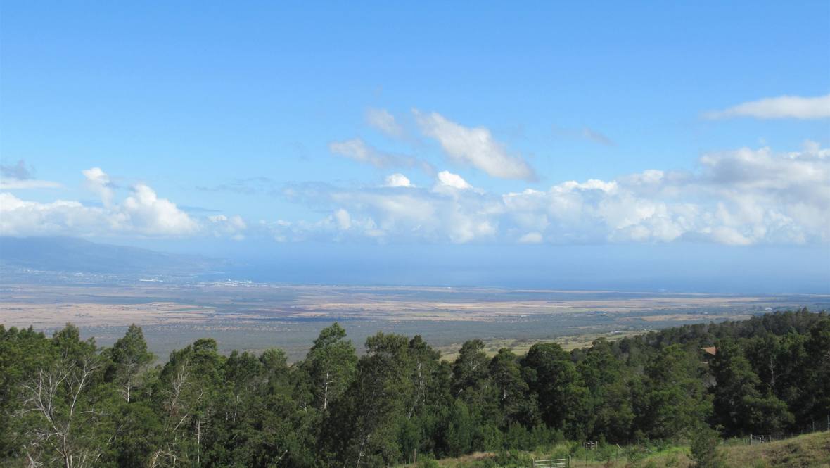 Kula Hwy Land for Sale in Kula 399216 Hawaii Life