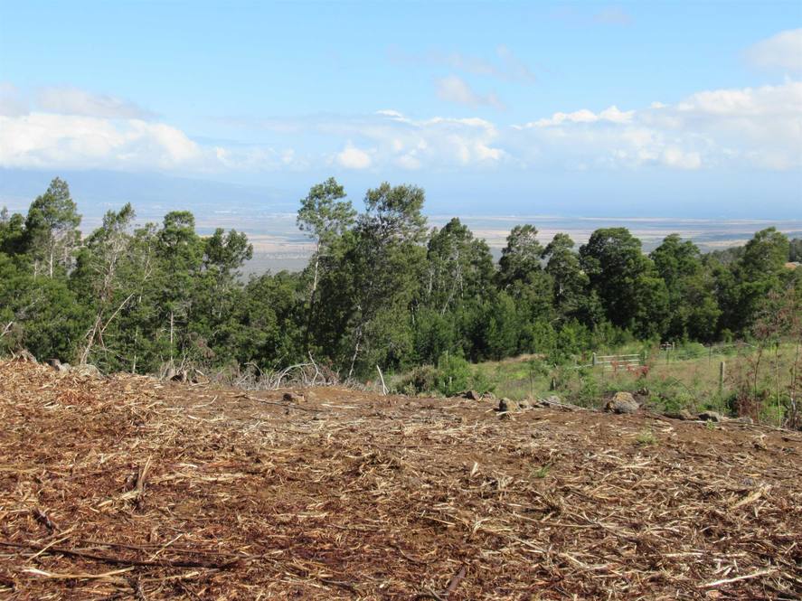 Kula Hwy Land for Sale in Kula 399216 Hawaii Life