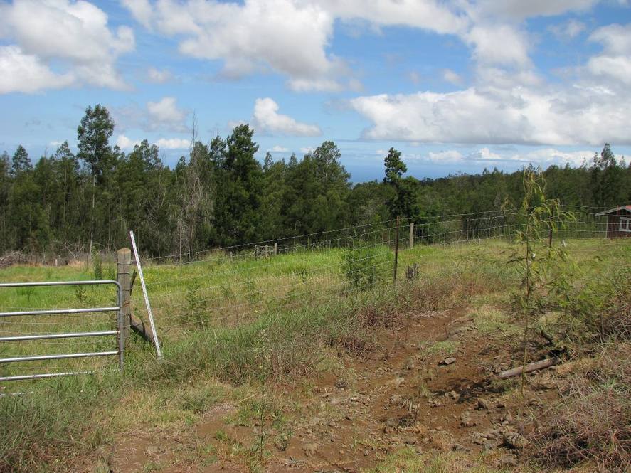 Kula Hwy Land for Sale in Kula 399216 Hawaii Life